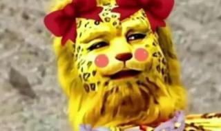 金钱豹头像是什么梗